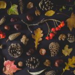 3 Great Autumn Dessert Recipes